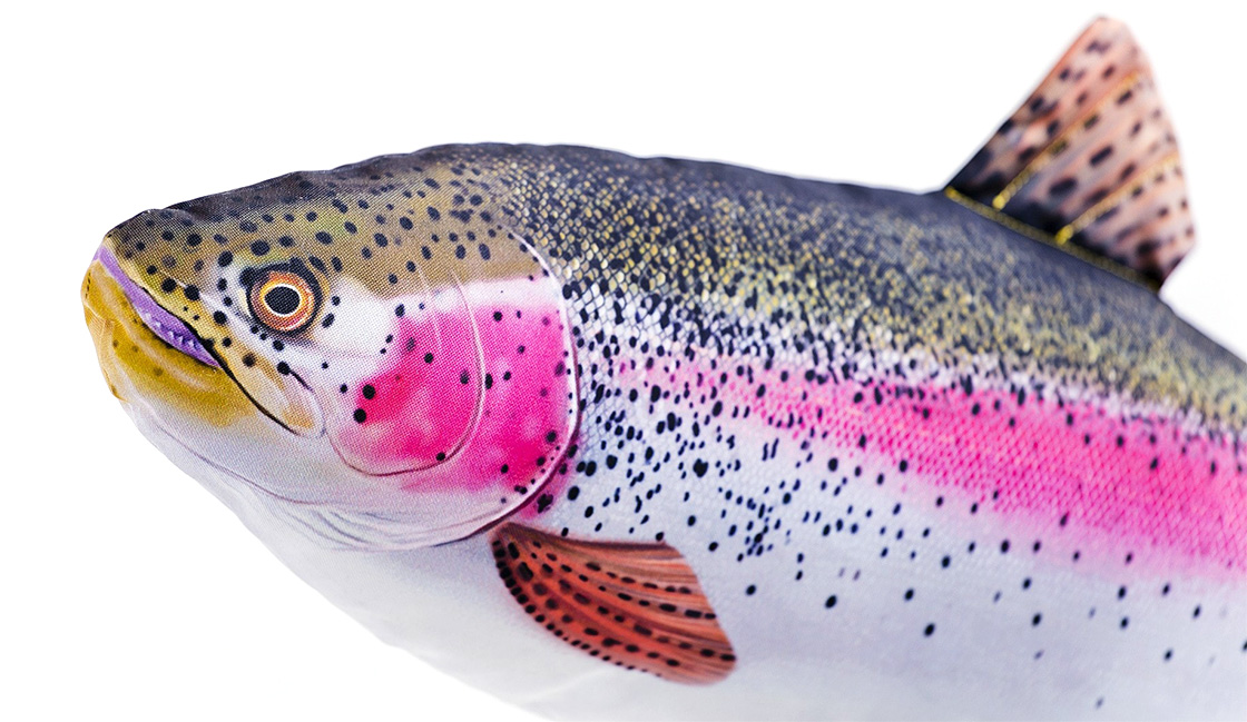 P-29188_Fischkissen_Kuscheltier_Regenbogenforelle_62cm_2