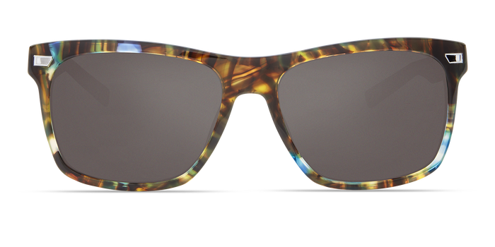 costa_aransas_shiny_ocean_tortoise_gray5