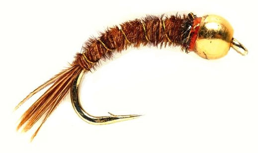 b-less-gold-pheasant-detail Fulling Mill Nymph - B Less Gold Nugget Pheasant Tail