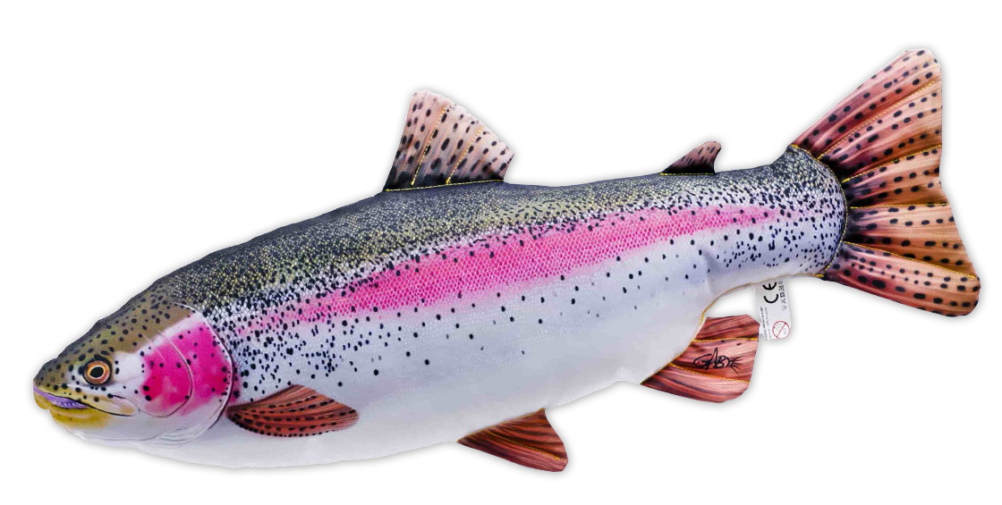 P-29188_Fischkissen_Kuscheltier_Regenbogenforelle_62cm_1 Fish Pillow Soft Toy Rainbow Trout 62cm