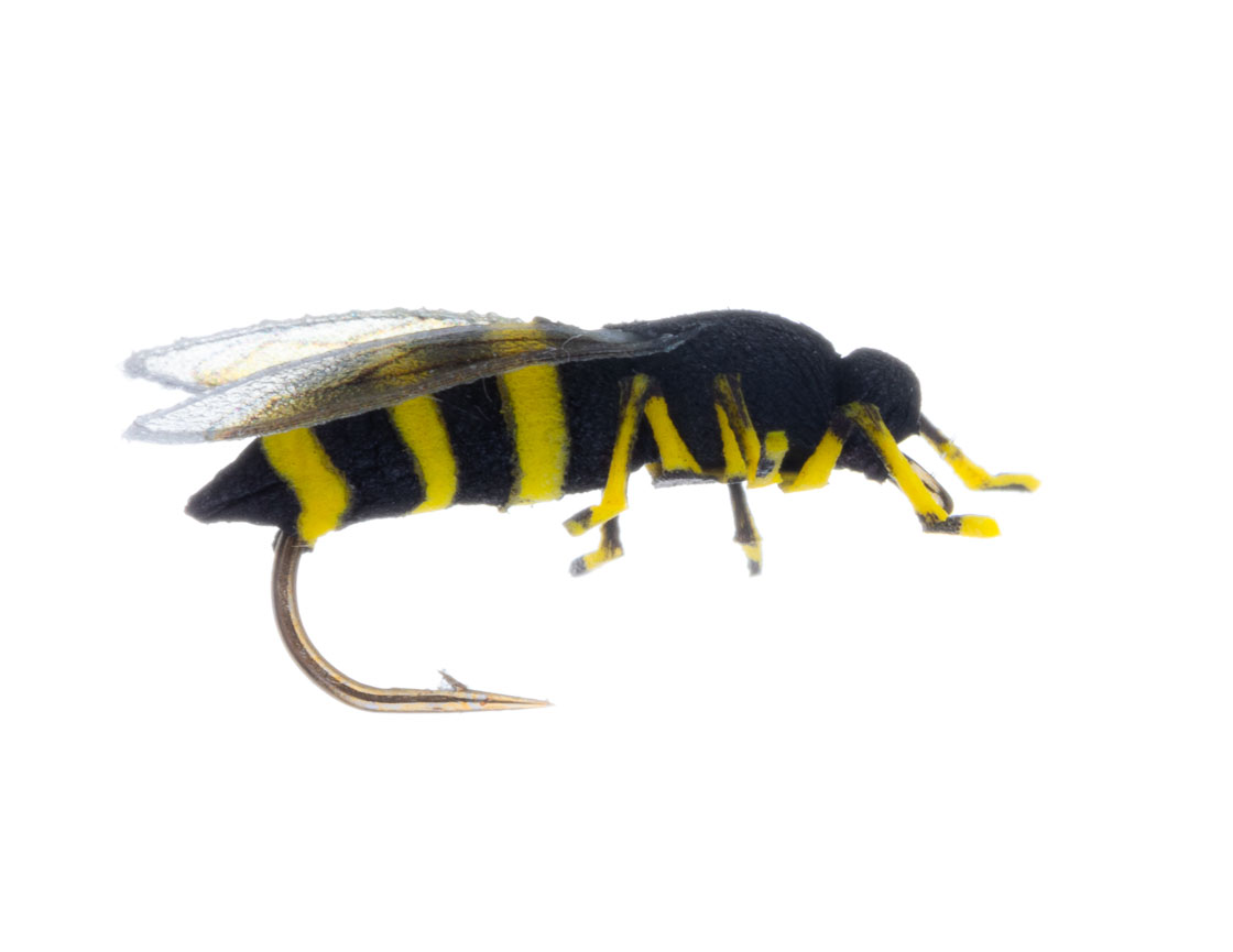 15914_Vania-Realistic-Honey-Wasp