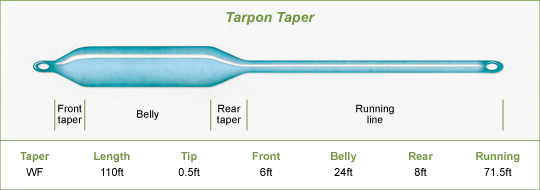Tarpon Taper