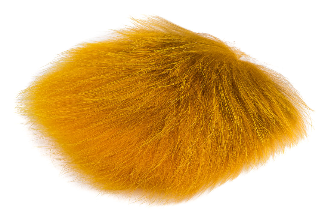golden olive (002)