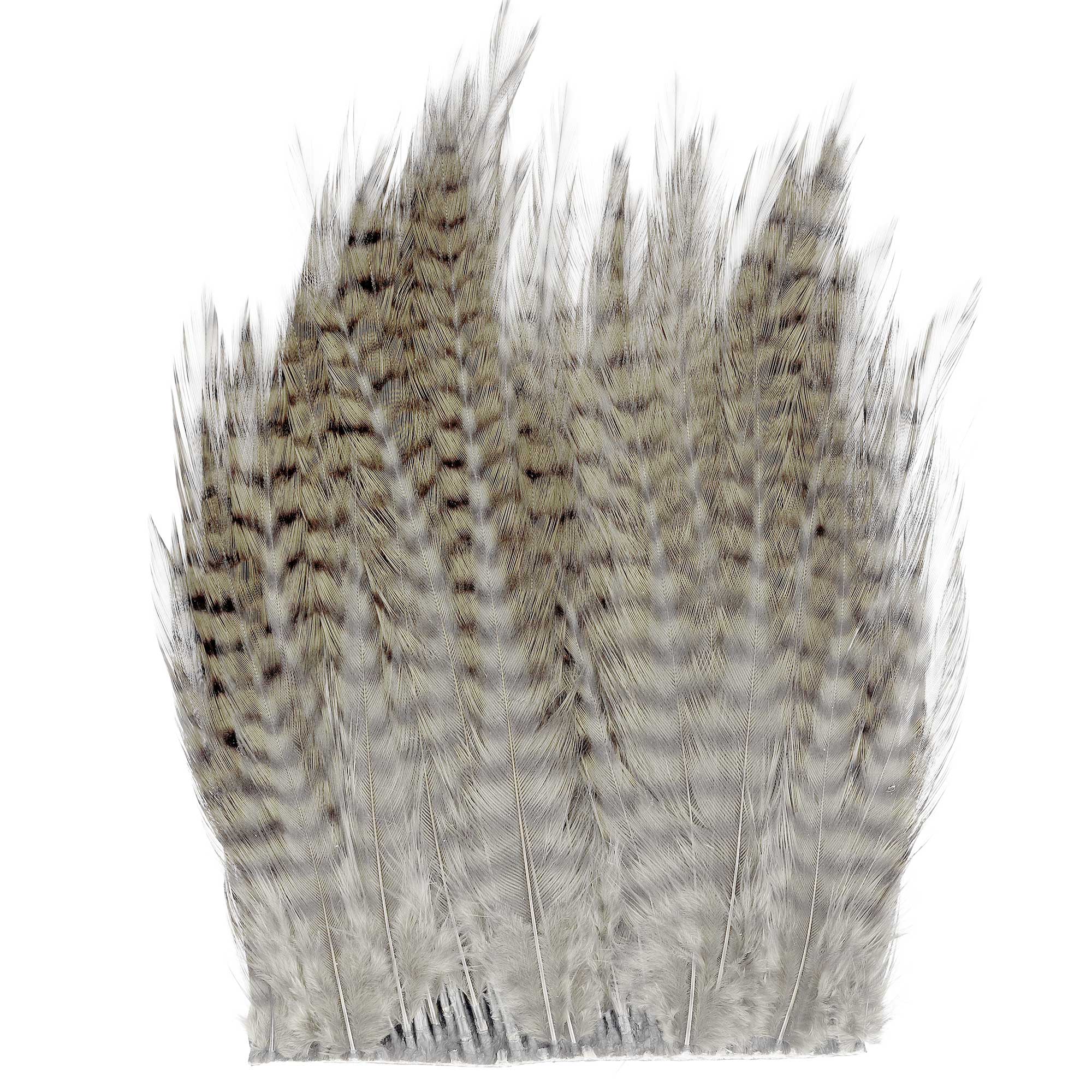 Waspi Ewing Middle Part Grizzly Premium Quality