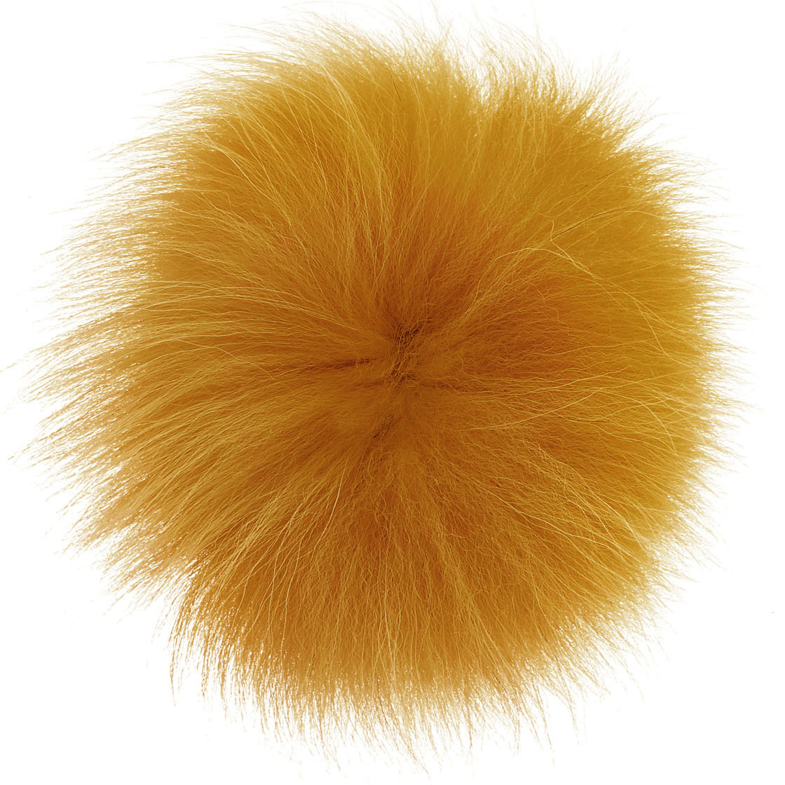dead orange