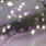 purple rain