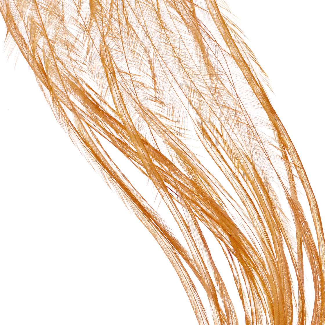 white dyed golden brown