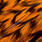 grizzly burnt orange