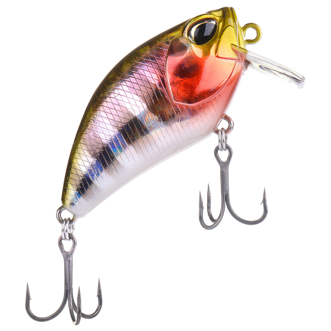Prism Gill