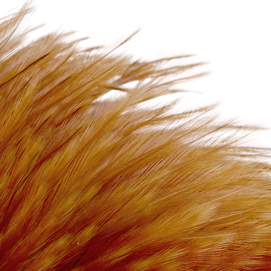 P-25375_Whiting-4-B-s-Rooster-Cape_detail-2