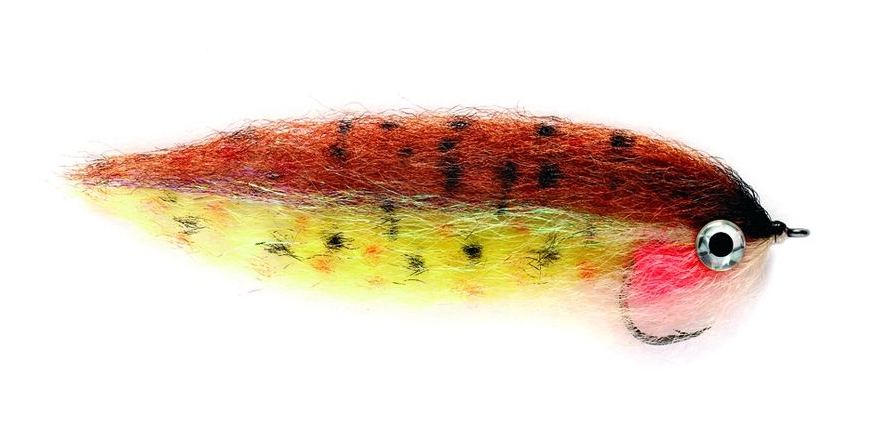 Fulling-Mill-Wee-Broonie Bindebeispiel