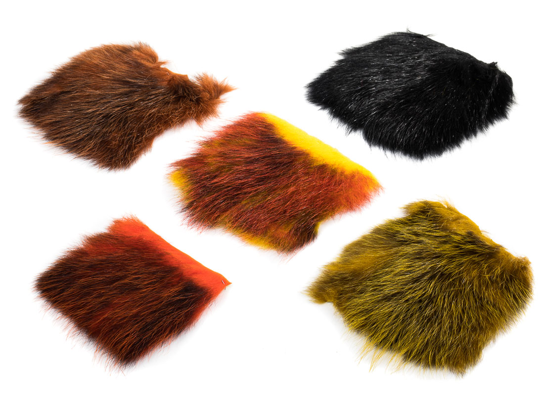 future_fly_american_opossum_title_5