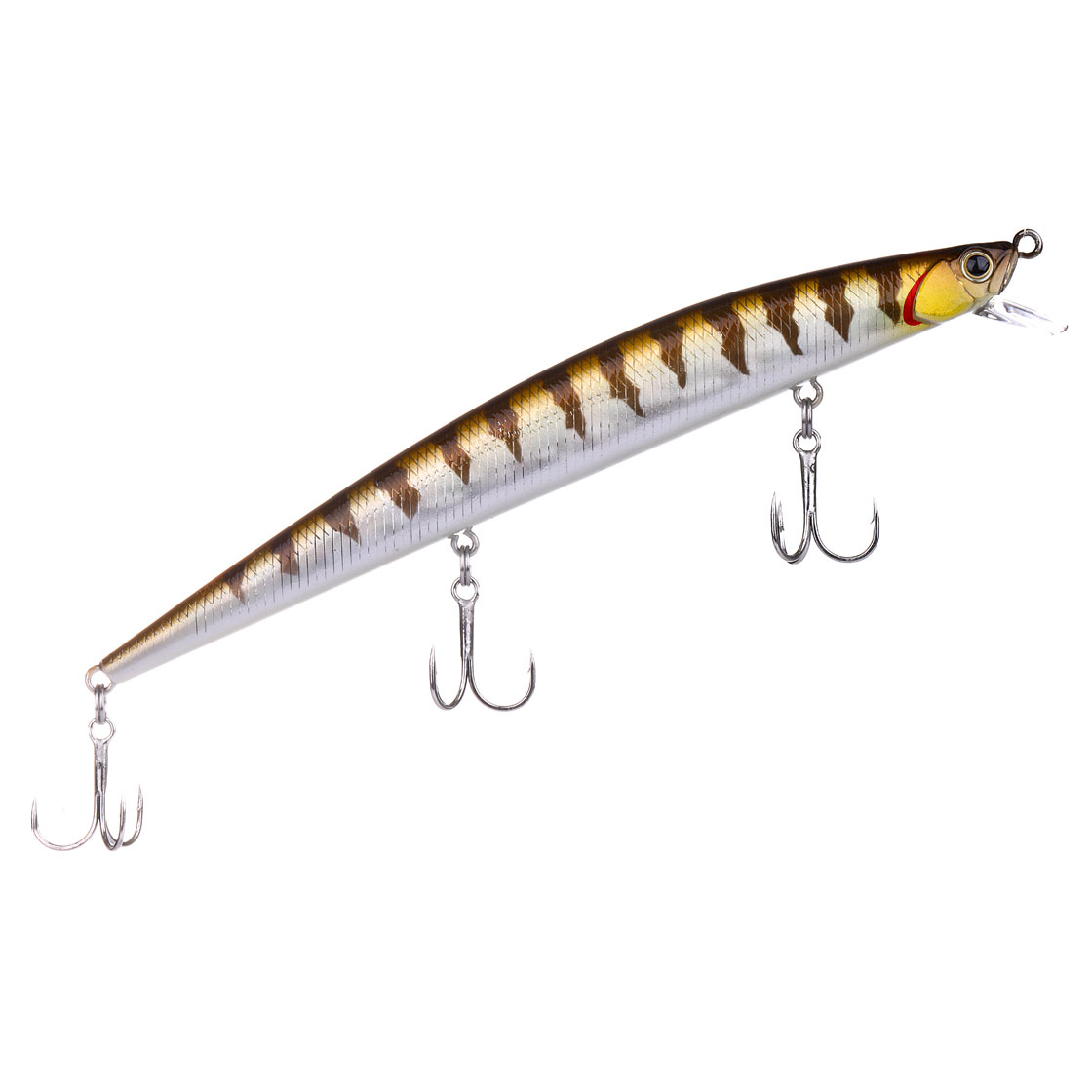 Natural Barracuda Glow