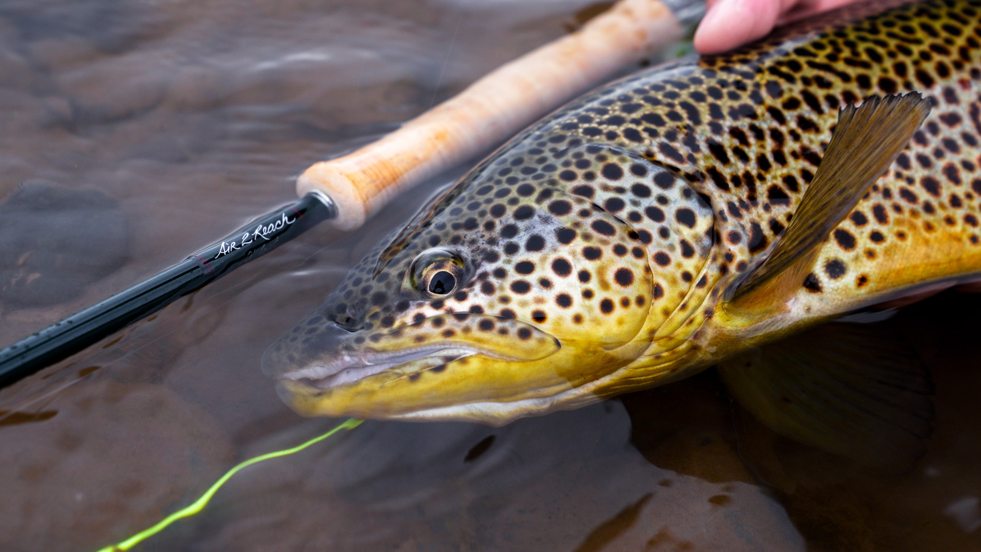 Review: Winston Air 2 Reach – Line Control and Flexibility