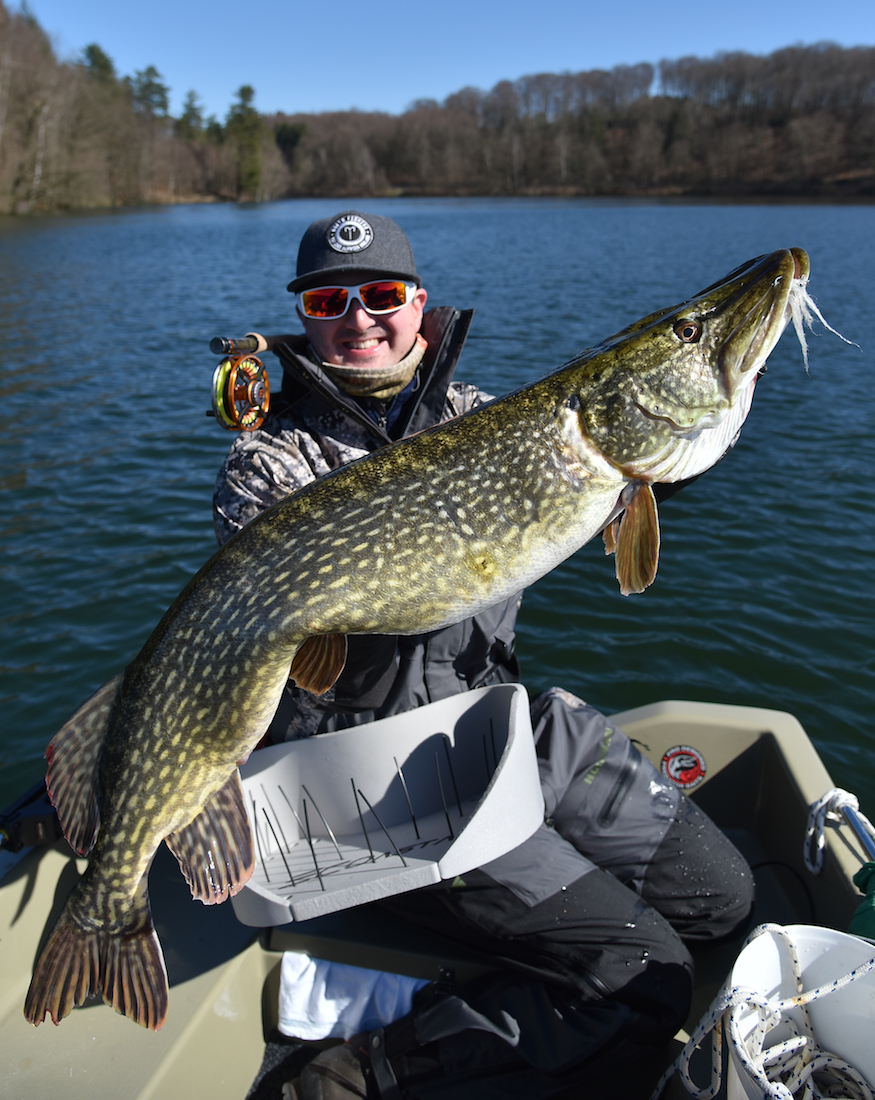 Fulling_Mill_Salty_Baitfish_Promo