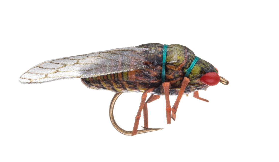Vania Realistic Trout Cicadia Soft Leg Dryfly olive