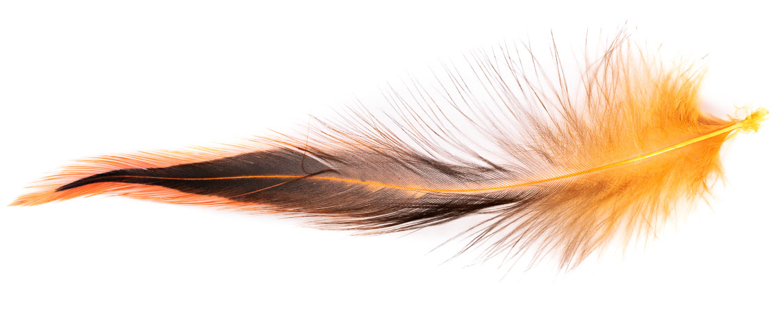 P-15936_Fl-Orange_2