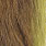 yellow olive