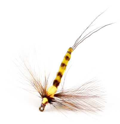Guideline Dryfly - Vulgata Spent Spinner
