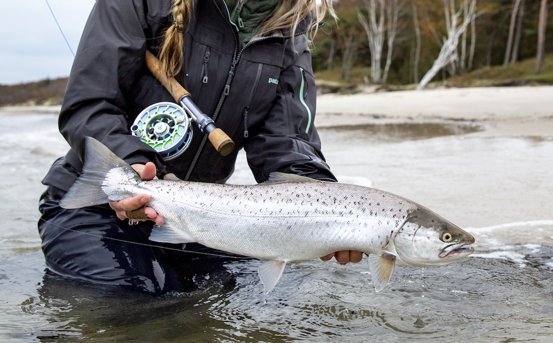 P-23103_Hatch_Iconic_5Plus_MidArbor_Clear-Blue 5Plus