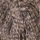 bronze grizzly dyed tan