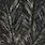 charcoal black