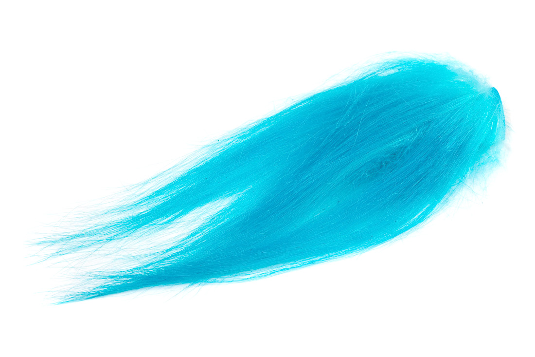 king fisher blue (007)