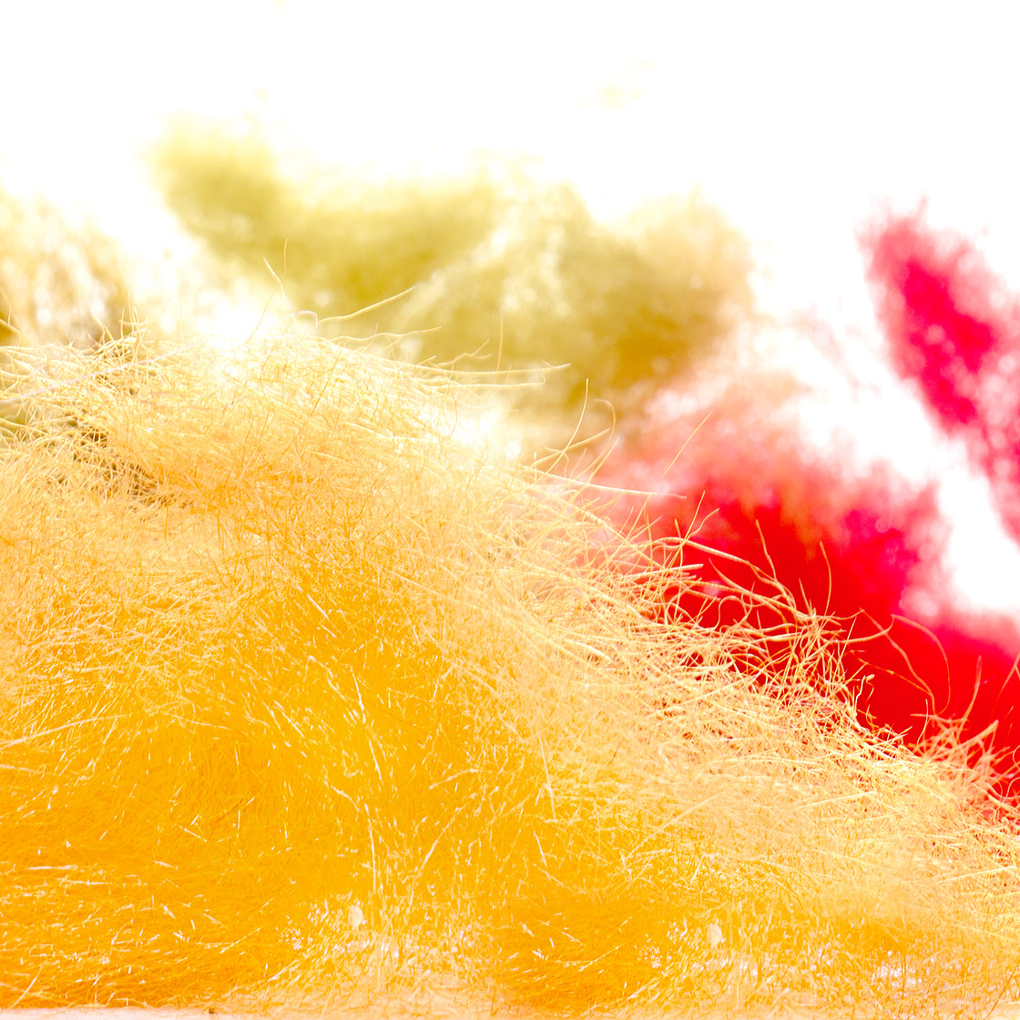 P-05097-Seal-Tulen-Seehund-Dubbing-Titel-neu Hends Seal Tulen Dubbing