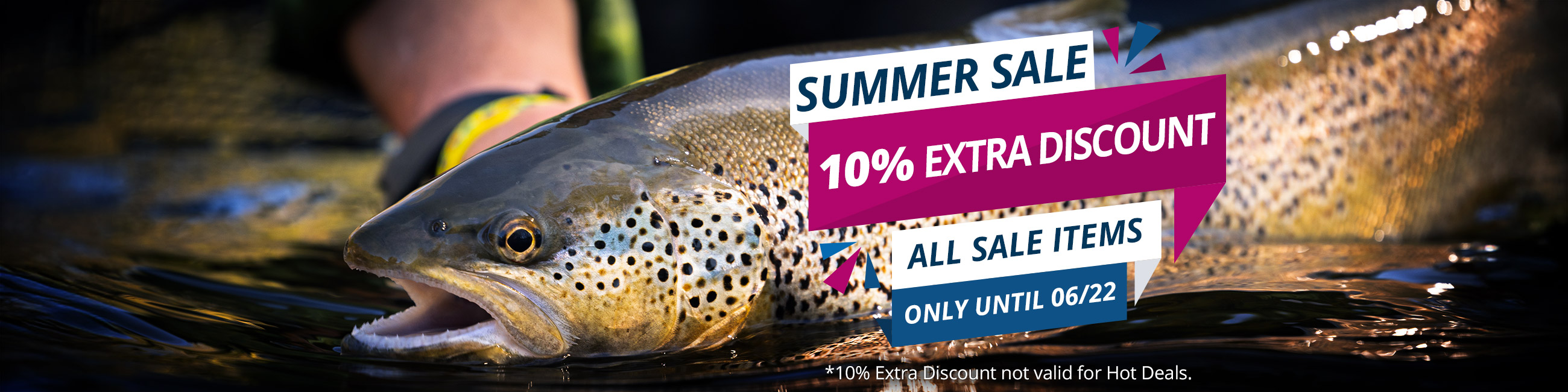Summer Sale: 10% Extra until 6/22