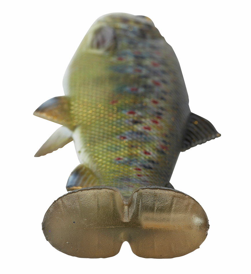 P-23731_Savage-Gear_4D_Line_Thru_Pulse_Tail_Trout_titel_3 Savage Gear 4D Line Thru Pulse Tail Trout perch