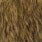 gold grizzly