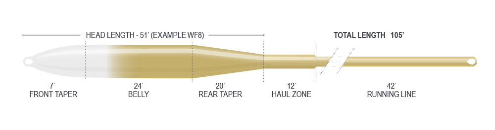 P-28932_Airflo-Ridge-2-0-Flats-Universal__12_ft_Clear_Tip_Power_Core_Floating_Tropical_Saltwater_Fliegenschnur_2