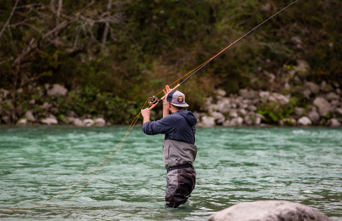 P-28565_Thomas-Thomas_DNA_Switch_