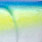 sexy blue shad #07
