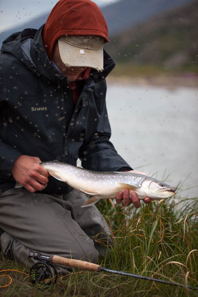 greenland-26 - Grönland 2014
