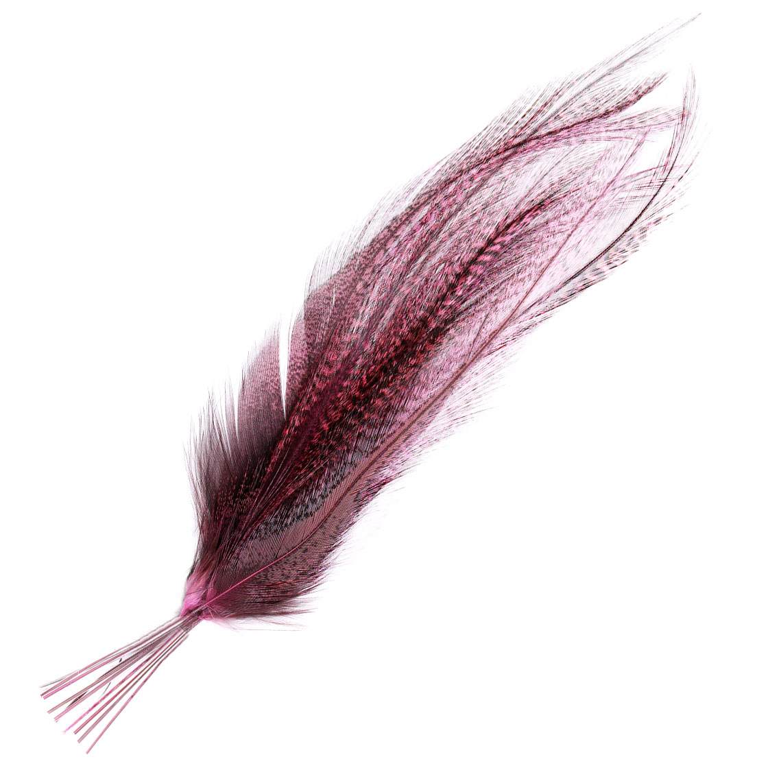 P-21234-8_fly-scene_coq-de-leon_saddle-substitute_pardo-corzuno-rosado pardo corzuno rosado