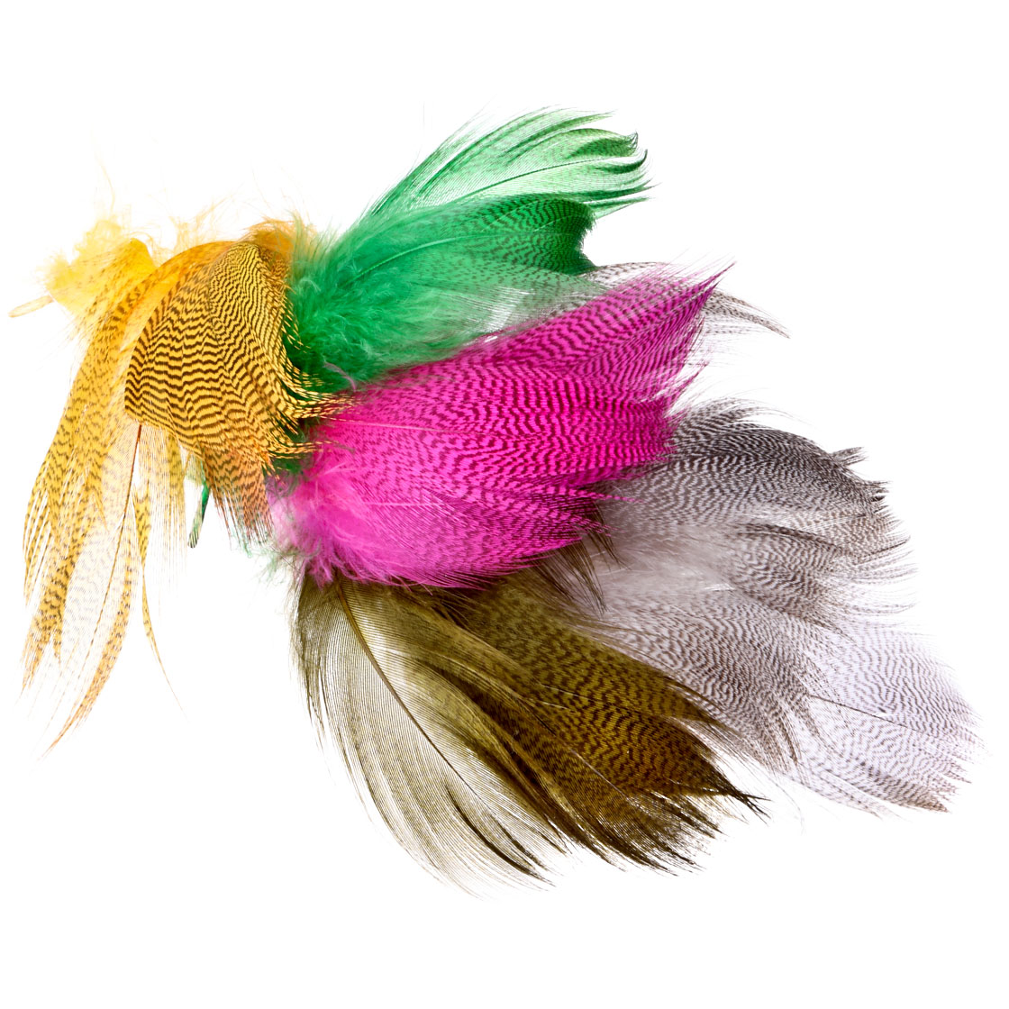 Fly Scene Barred Mallard Flank Feathers