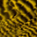 grizzly yellow