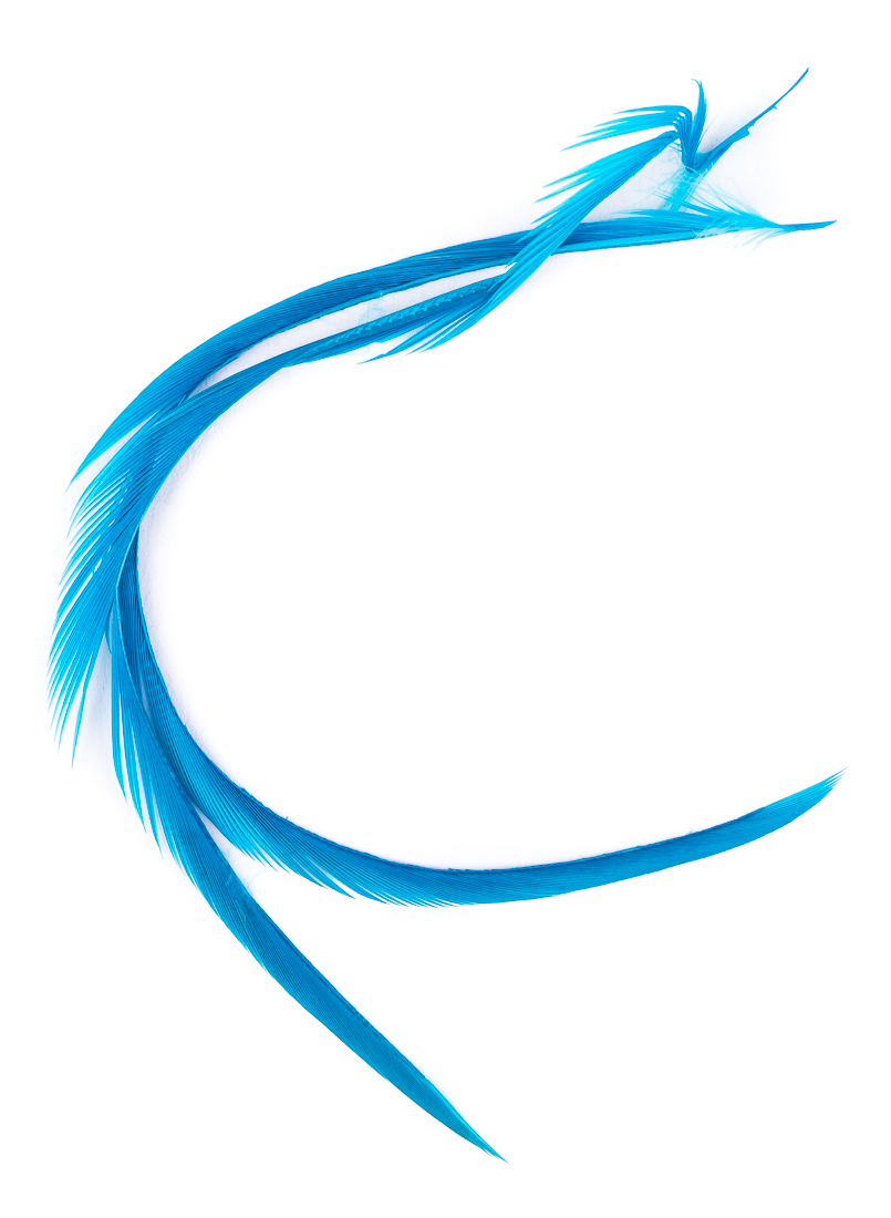 teal blue