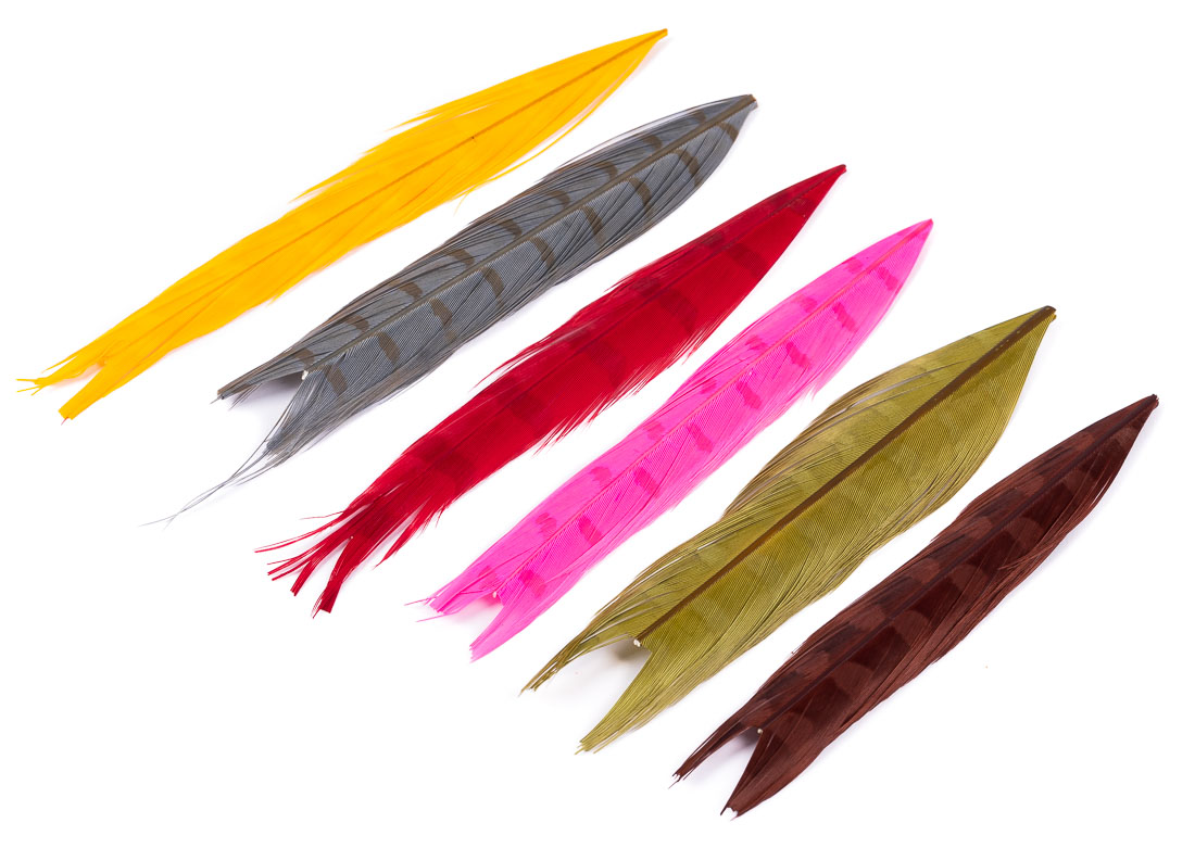 veniard-cock-pheasant-colour-extracted-centre-tail-mixed-2