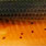 UV craw box