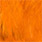 crawdad orange