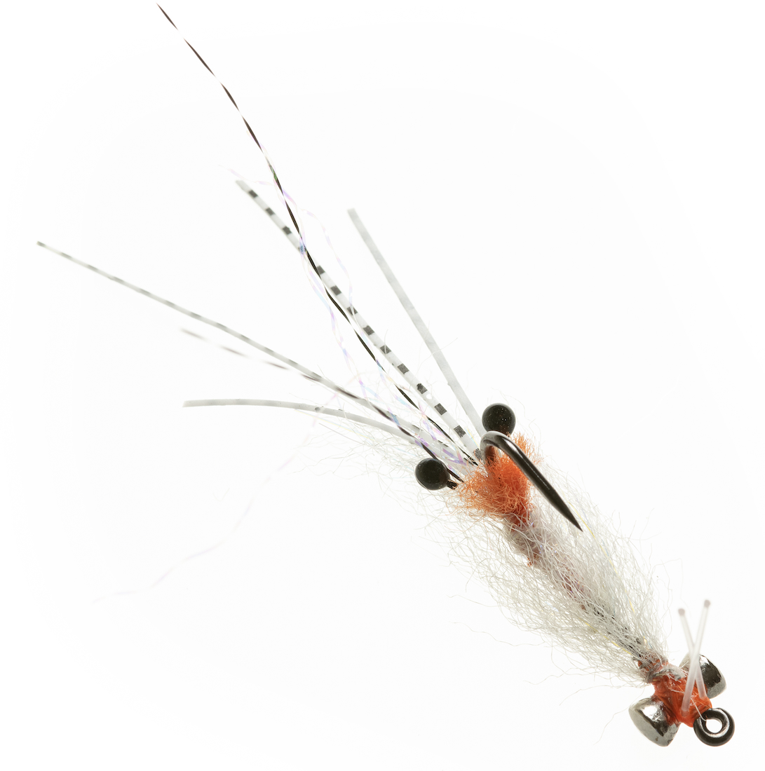 Enrico Puglisi SPAWNING SHRIMP - TRANSPARENT