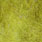 light olive uv