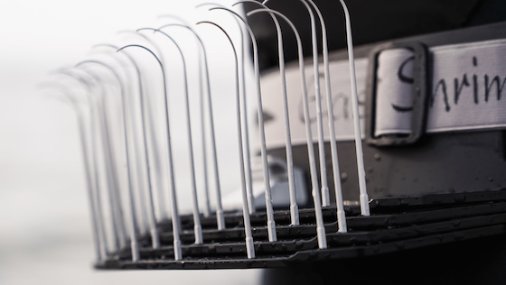 adh-fishing Test: Easy Shrimp Eyes Line Master - The most innovative line basket