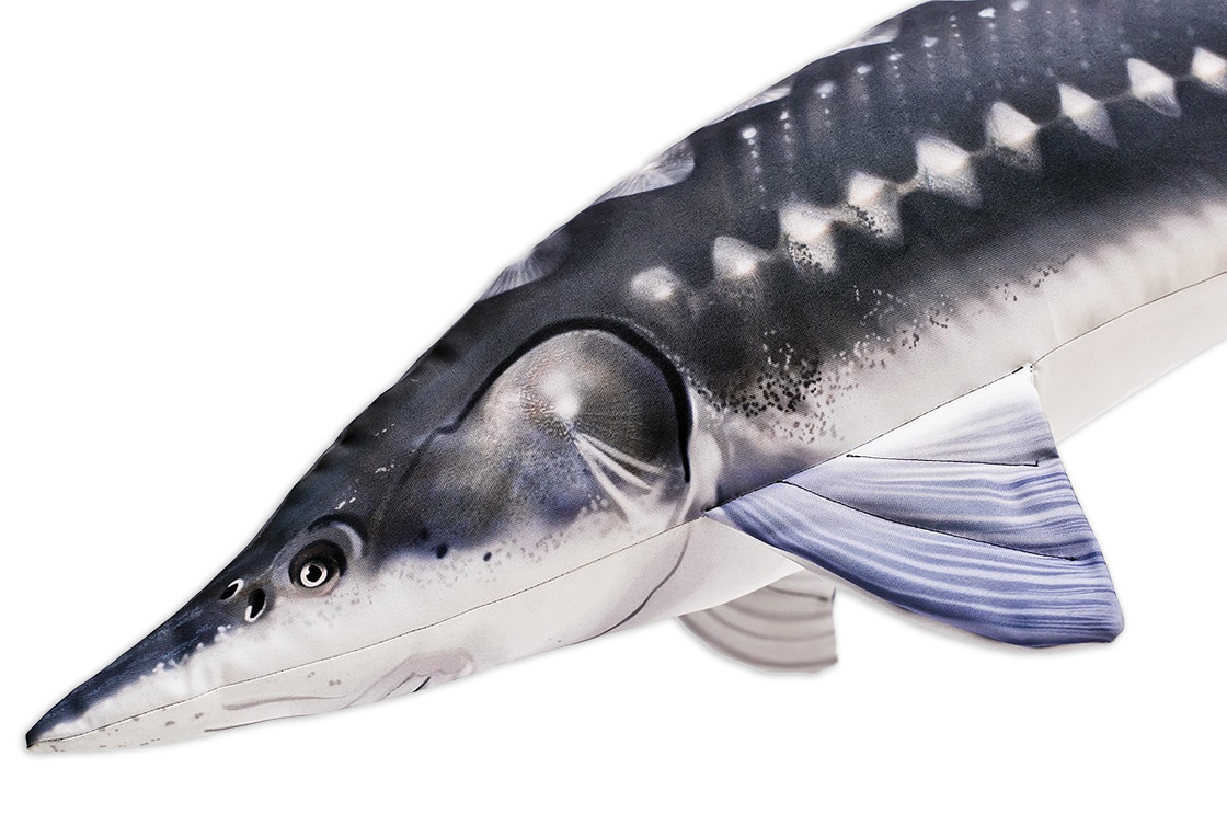 P-29202_Fischkissen_Kuscheltier_Stor_125_1