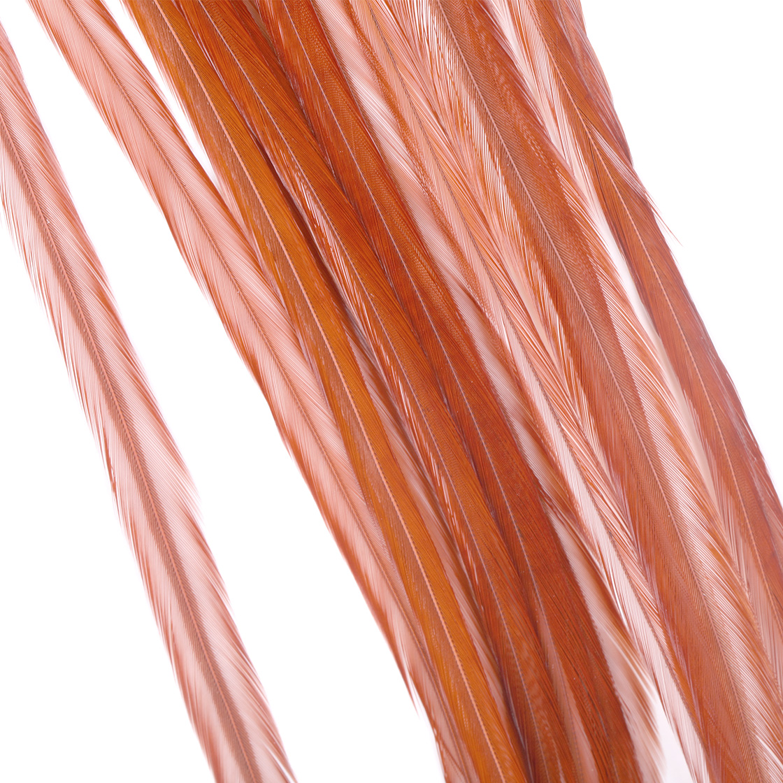 Whiting 100 Pack MFC - Brown Whiting 100 Pack MFC - Brown