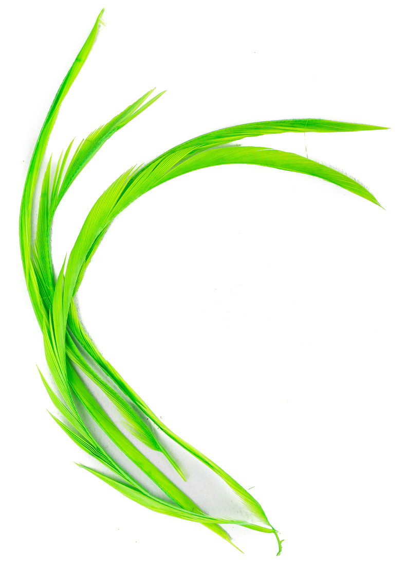 green highlander