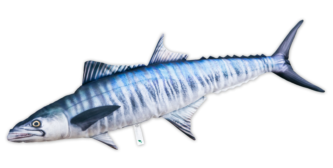 P-29207_Fischkissen-Kuscheltier_Spanische_Makrele_102cm_ganz Fish Pillow Soft Toy Spanish Mackerel 102cm