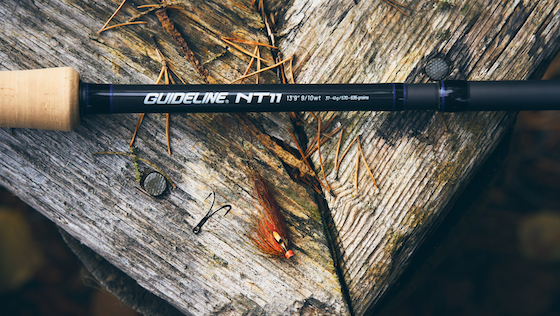 Guideline NT11 with C.A.P T1100 Technology